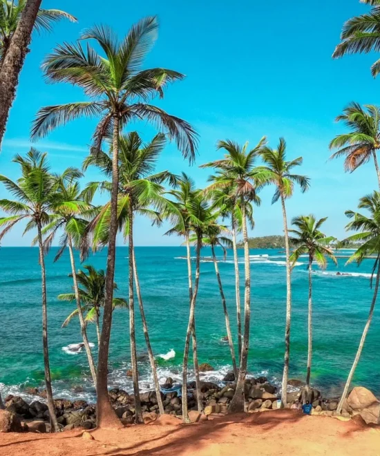 Sri Lankan Odyssey (CLT 10)