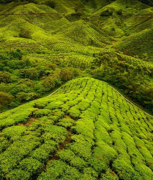 Splendor Sri Lanka
