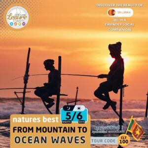 Nature’s Best – CLT 100